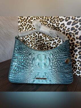 Gorgeous Brahmin Esme in Spearmint Ombré Shoulder Bag NWT PERFECT EYE ON FRONT